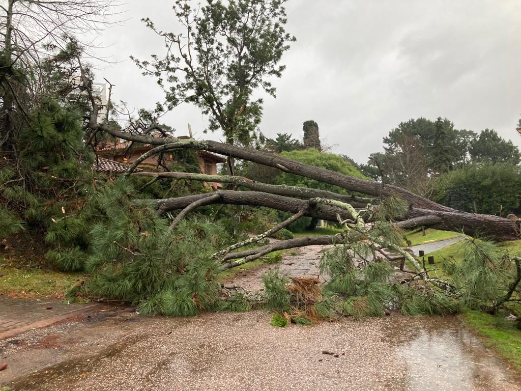 Estos son los daños que está dejando el temporal de viento y lluvia en Maldonado