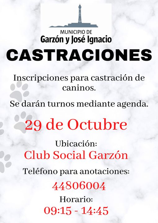 Inscriben para castraciones en Garzón