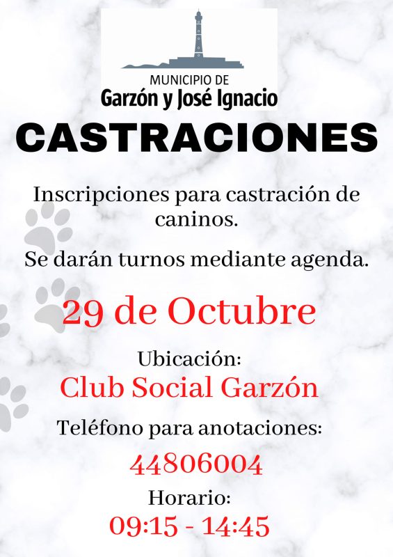 Realizan castraciones caninas en Garzón