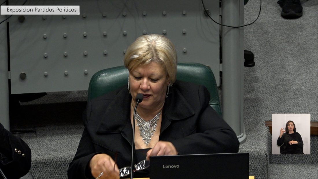 Una edila pidió crear un hospital veterinario gratuito en Maldonado