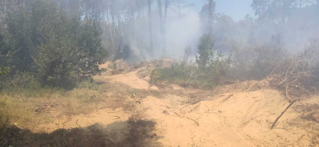 Bomberos controlaron incendios en La Barra, San Carlos y Maldonado