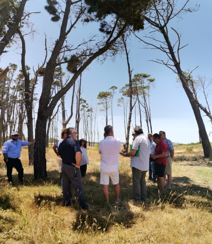 Vecinos trasladaron preocupación a Ministro de Ambiente por el proyecto Marina de Punta del Este