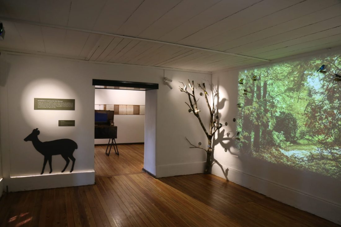 Inauguraron la remodelación de la casona Lussich