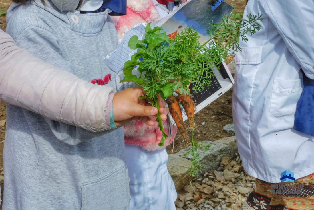 Huerta abierta,  se inicia un nuevo ciclo del Proyecto “El Municipio se Planta” – 2022.