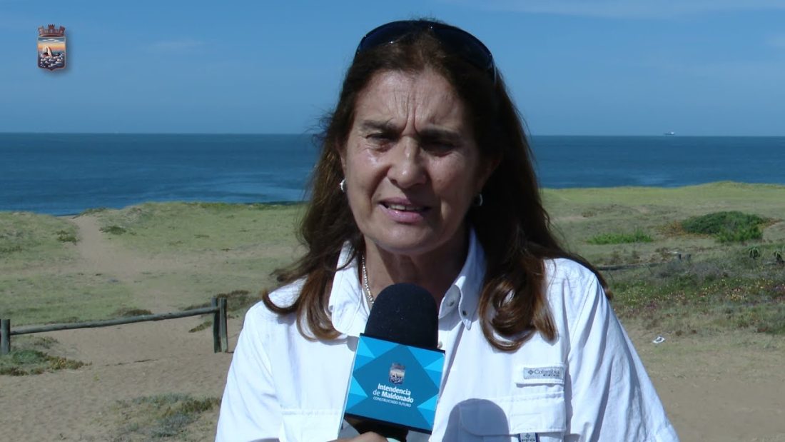 Maldonado tendrá en 2030 el 70% de la energía limpia