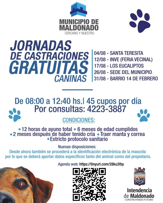 La agenda para castraciones en el Municipio de Maldonado se realiza online
