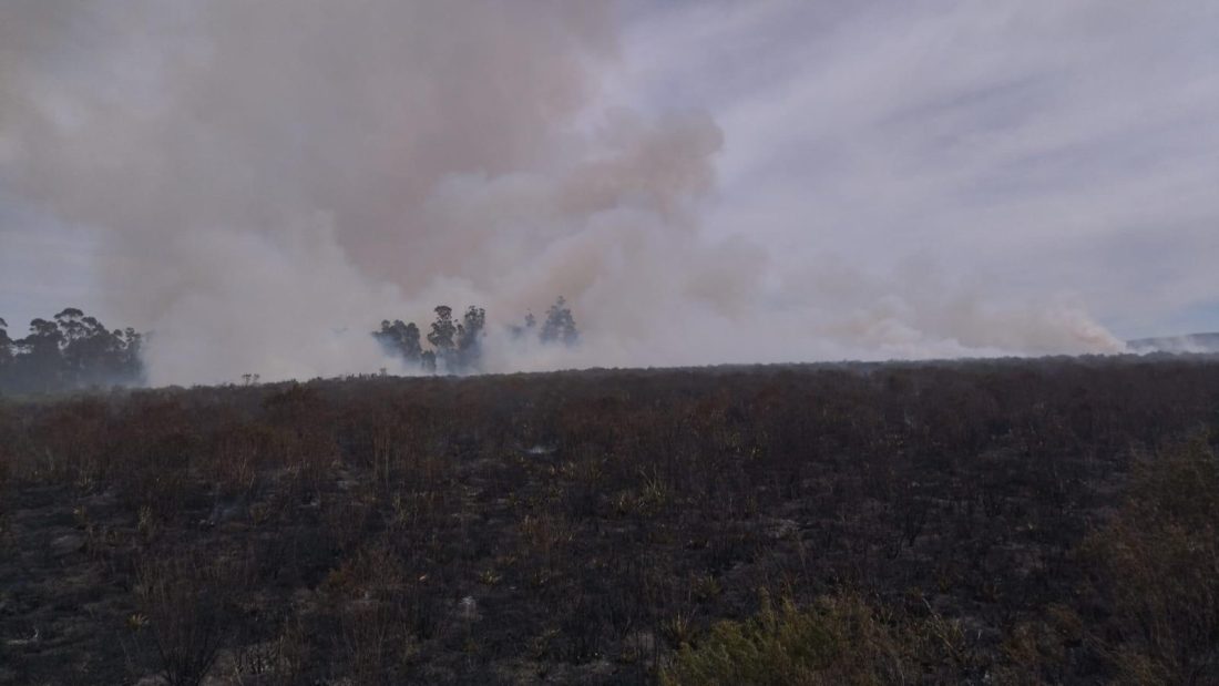 Una quema en un campo se salió de control y tuvo que intervenir bomberos
