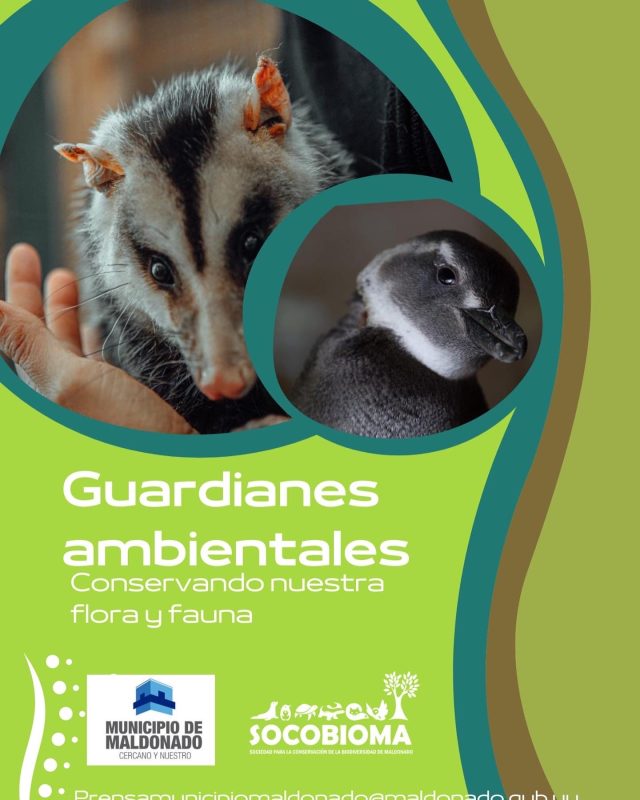 Programas de educación ambiental activos del Municipio de Maldonado￼
