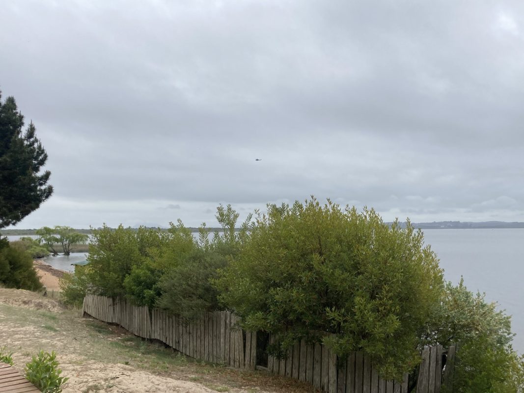 Alertan que aumentarán las cianobacterias en la Laguna del Sauce