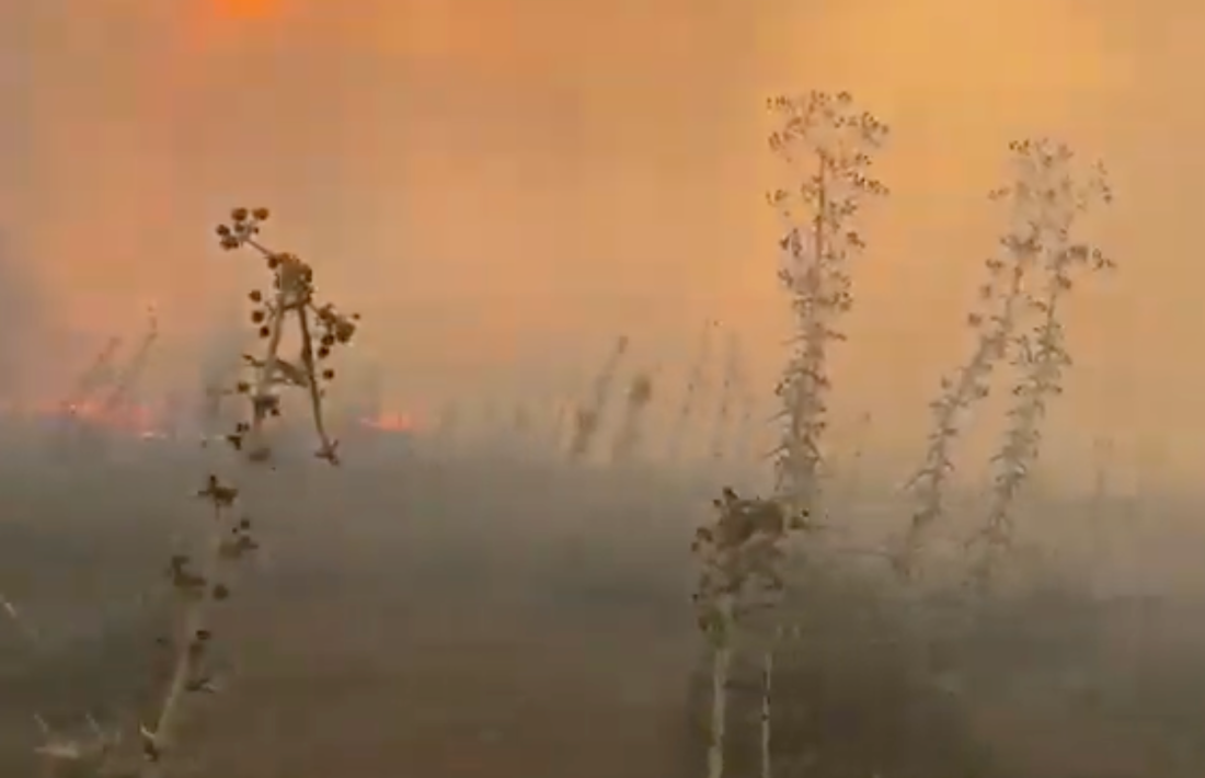 Varias hectáreas consumidas por un incendio en Ruta 9