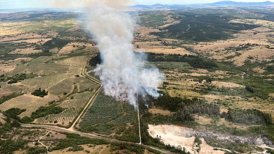 Controlaron incendio en Ruta 12