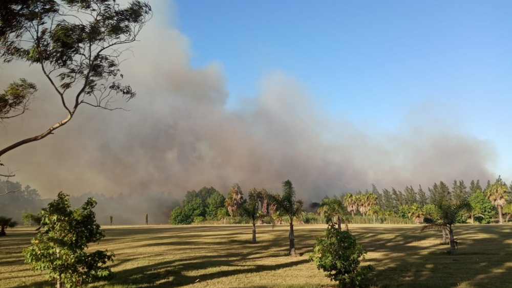 Están controlados los incendios que se han registrado en Maldonado