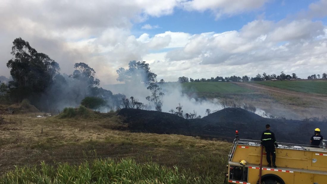 Más de 30 hectáreas afectadas por un incendio en Ruta 9