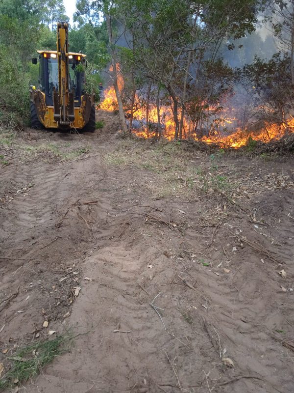 Controlan incendio en zona de Chihuahua y trabajan en otro en Ocean Park