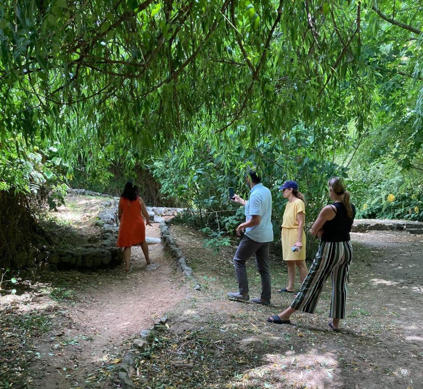 Municipio, Intendencia y OSE trabajan en Paseo de la Aguada