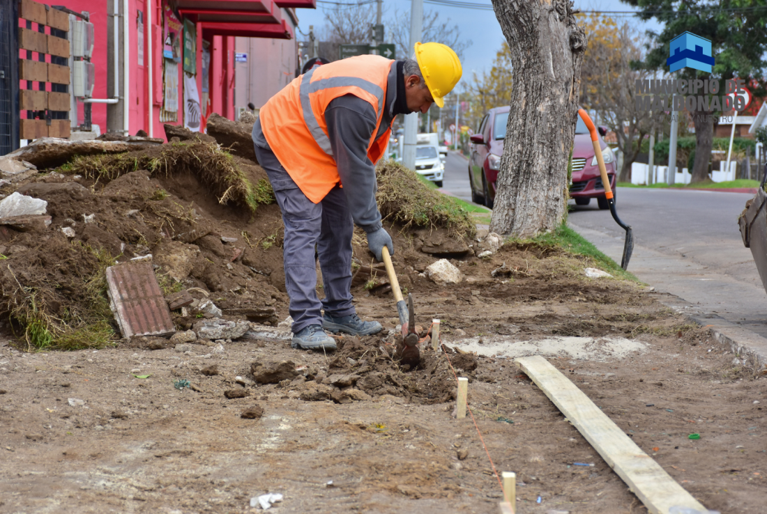 Invierten 20 millones de pesos en construcción de veredas en Maldonado