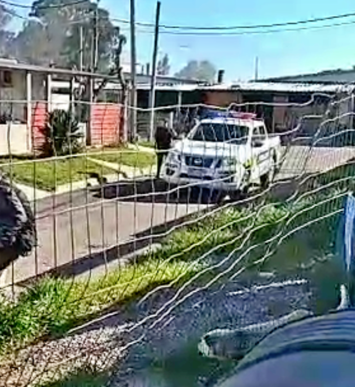 Balacera en Barrio Miguez: miedo, vidrios rotos y el milagro de que hoy no habían niños en la vereda
