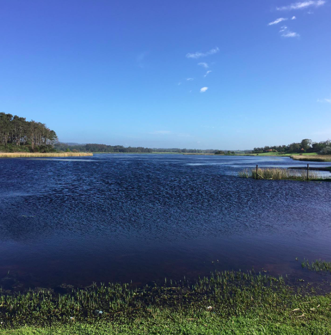 Atención: Municipio de Maldonado junto a bomberos convocan a vecinos de los alrededores de Laguna del Diario