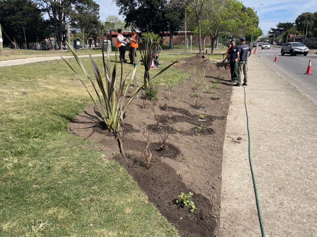 Parque Mandela, un plan integral que potenció un espacio para vecinos y estudiantes