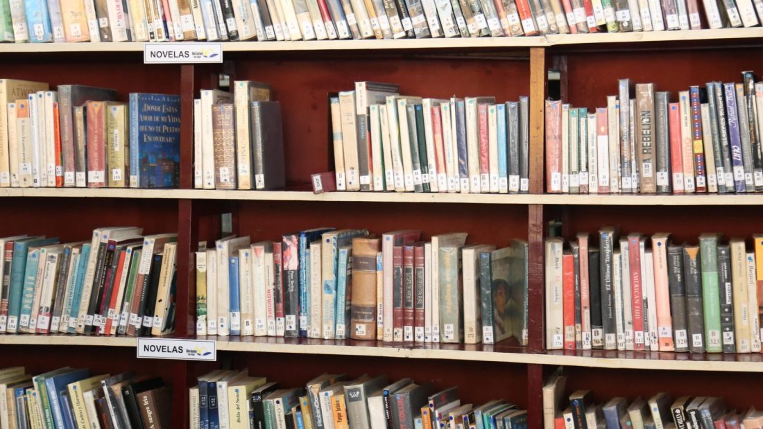 El próximo martes 24 Maldonado festeja el «Día de las Bibliotecas»