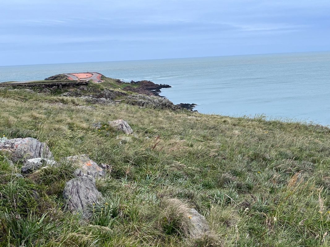 Ministerio de Ambiente rechazó el proyecto inmobiliario para Punta Ballena
