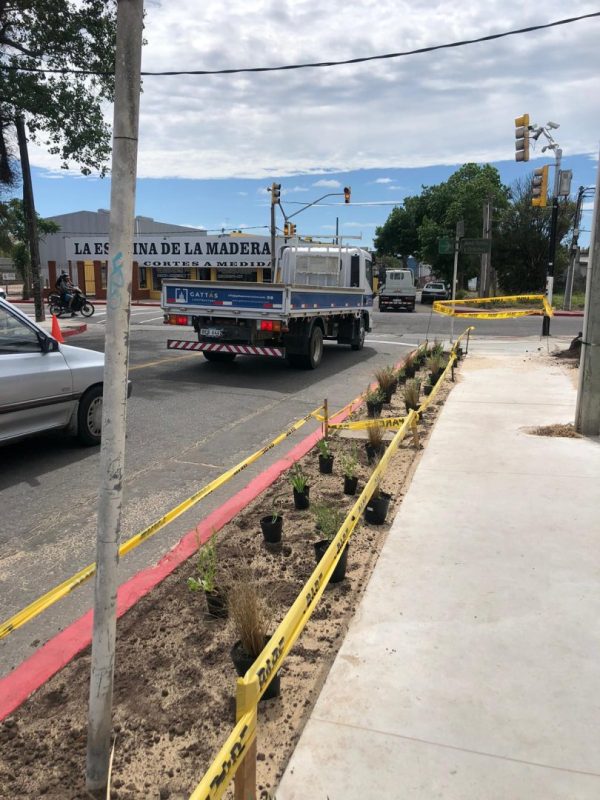 Ensanchamiento de veredas, nuevos semáforos, y enjardinado en Avenida Lavalleja