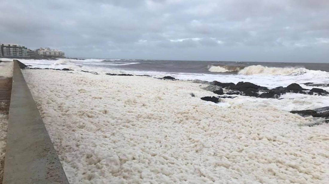 CECOED informa llegada de rachas de viento fuerte asociadas a tormentas