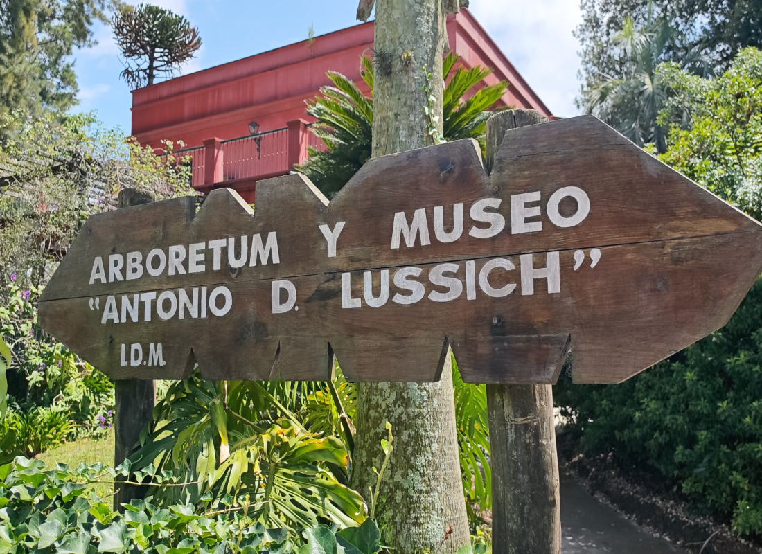 Pantalla Maldonado en Arboretum Lussich