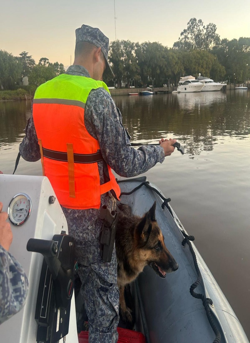 Rescate en Carmelo: emotivo reencuentro entre una perra y su familia
