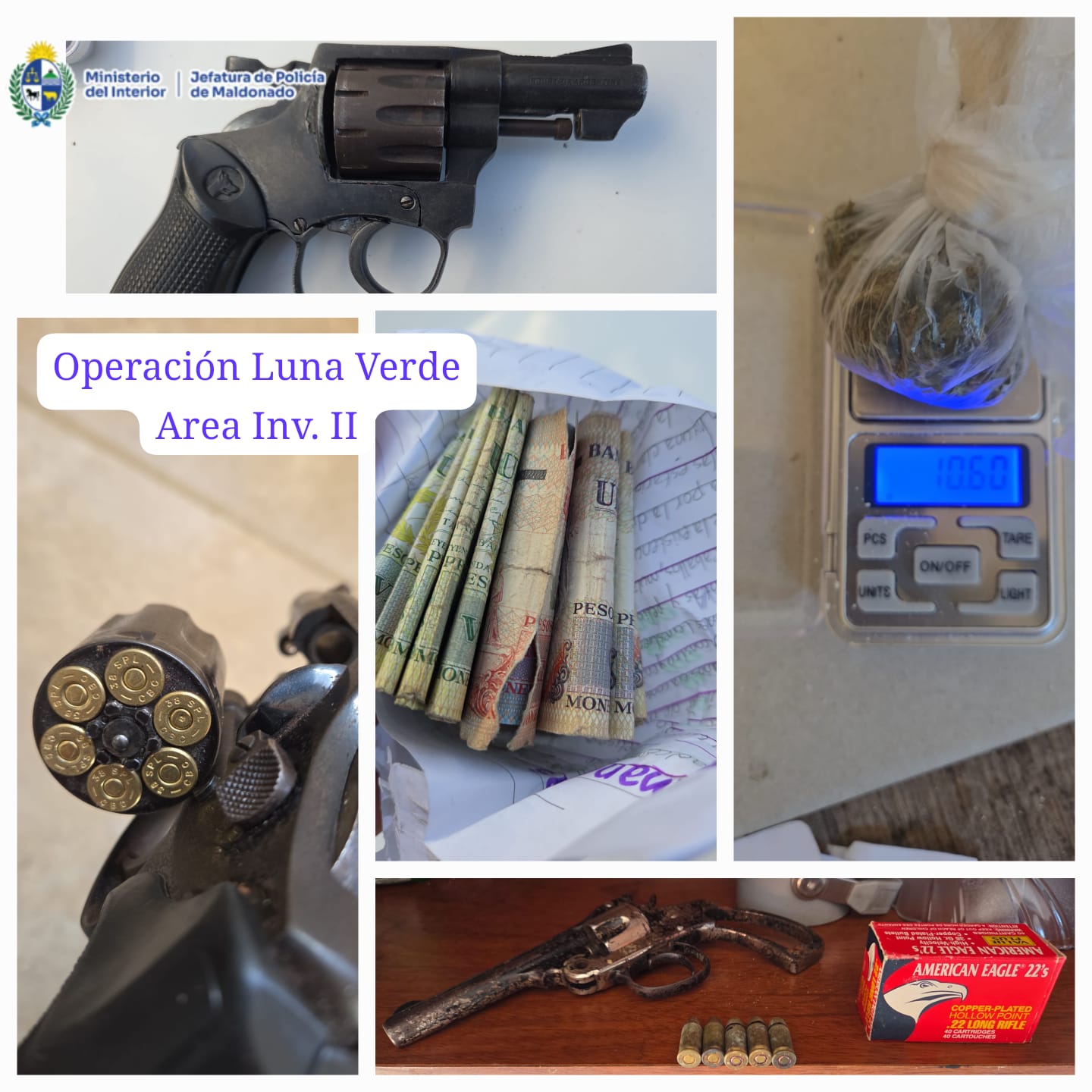 Operativo Luna Verde: 8 detenidos y armas incautadas en allanamientos simultáneos en Maldonado