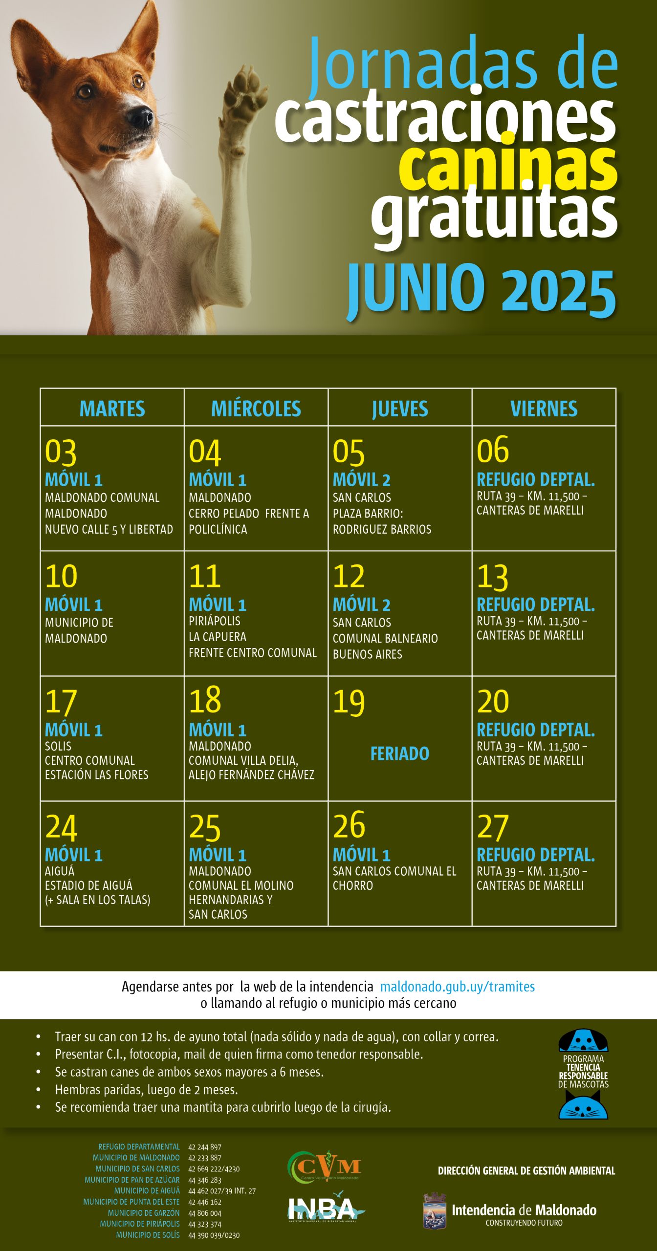 Nuevas jornadas de castraciones gratuitas en Estación Las Flores y Villa Delia