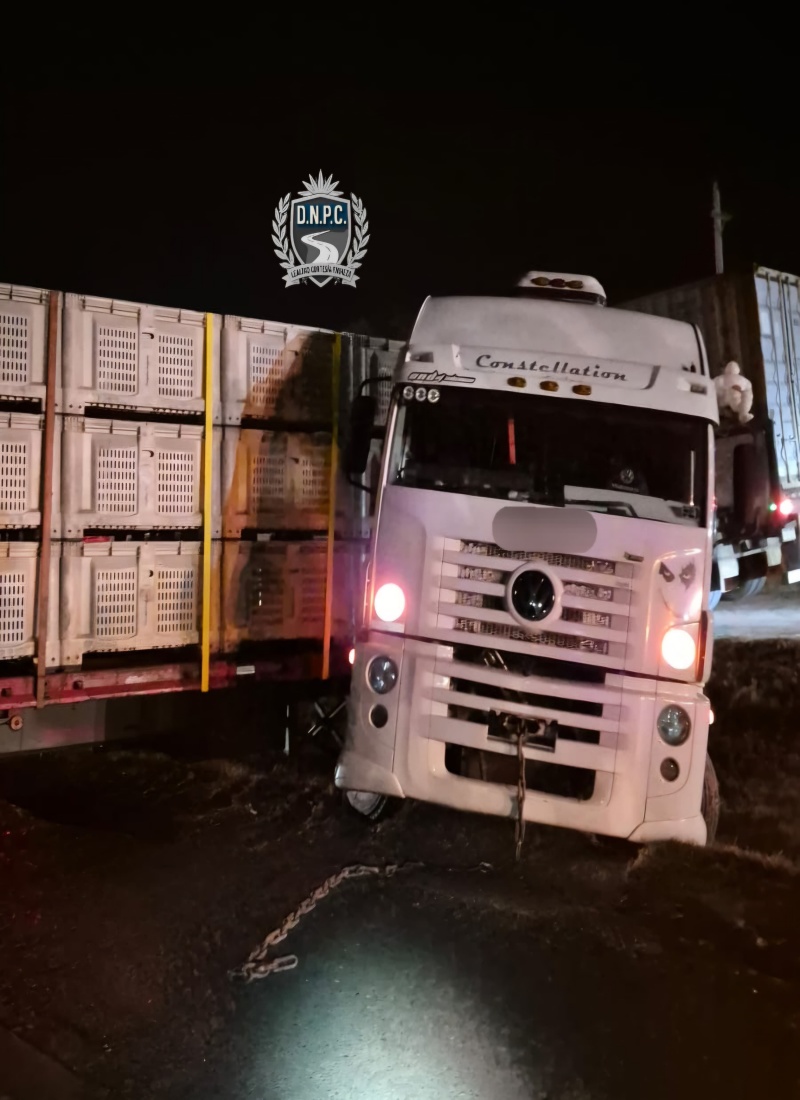 Tragedia en Ruta 3: conductor murió arrollado por su propio camión