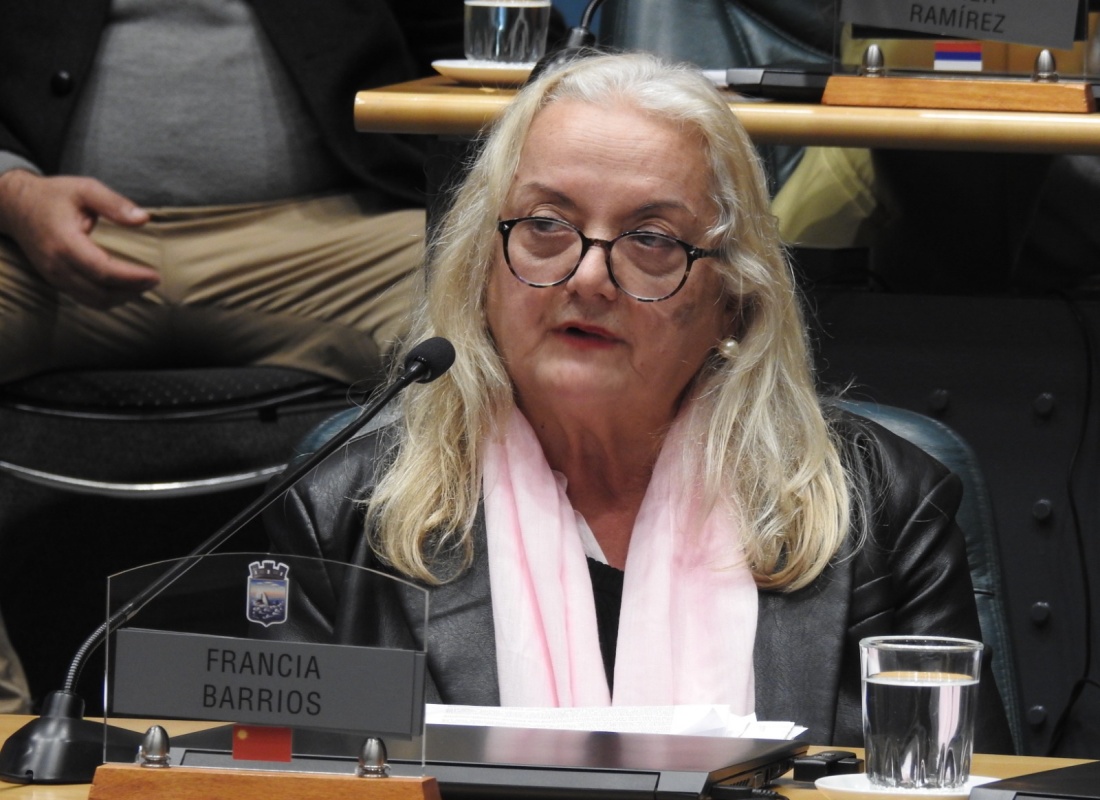 “Cada adicción arrastra a una familia al dolor”: fuerte reclamo en la Junta por falta de respuestas reales al drama de las drogas
