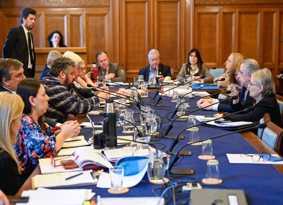 El Colegio de Contadores pidió cambios en la ley de lavado por costos a pymes y vulneración de derechos