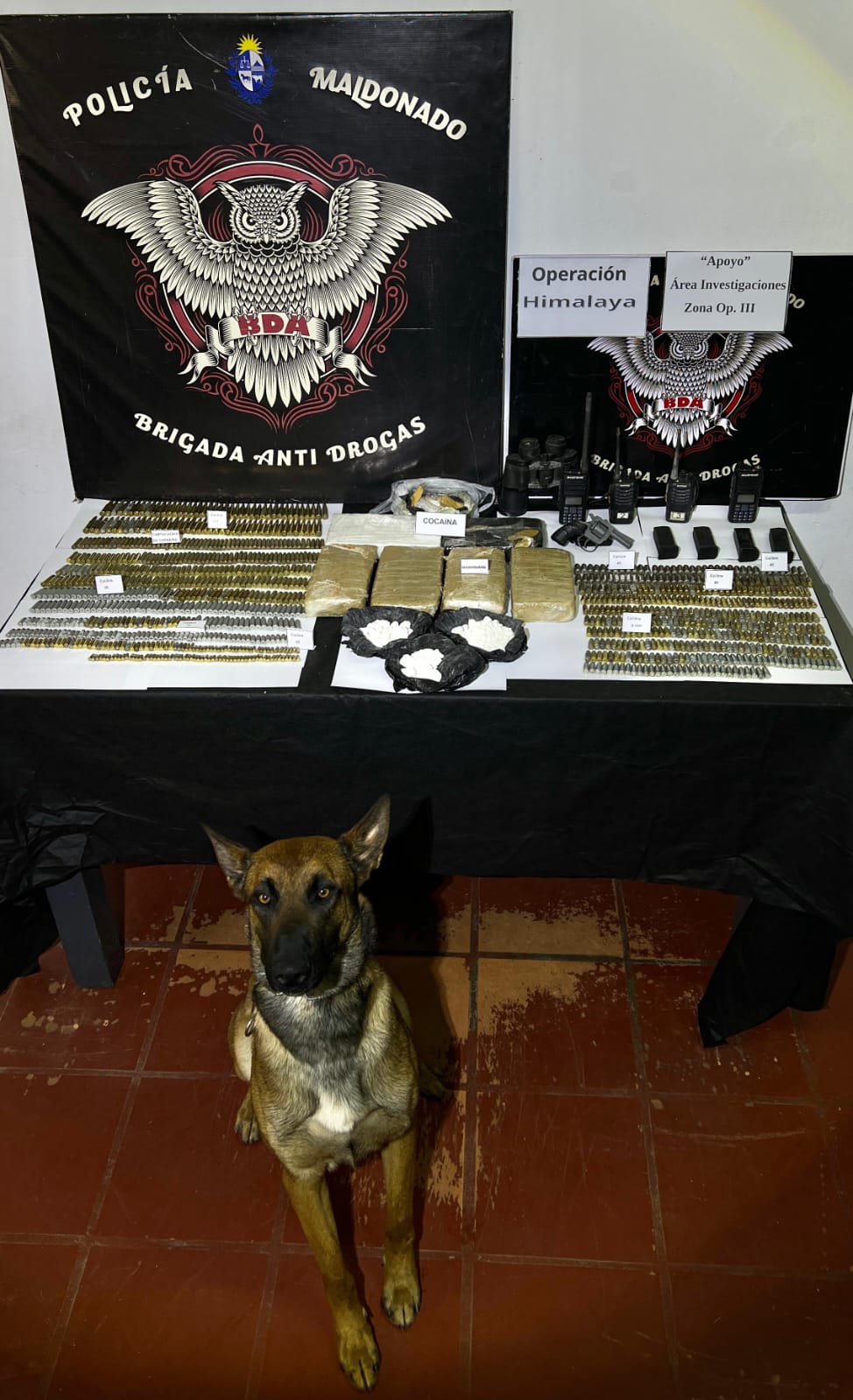 Operación Himalaya: golpe al narcotráfico en Maldonado dejó varios detenidos, condenas y bocas cerradas