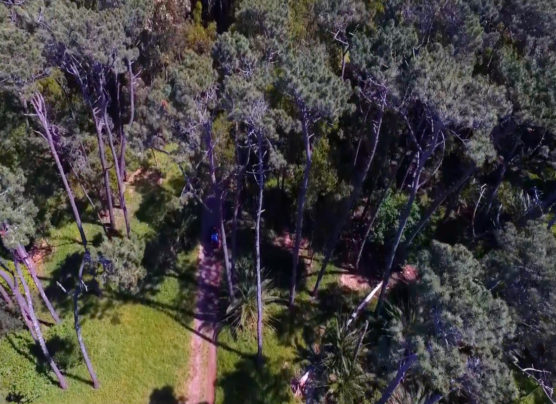 Hallan restos óseos en zona arbolada de Solanas