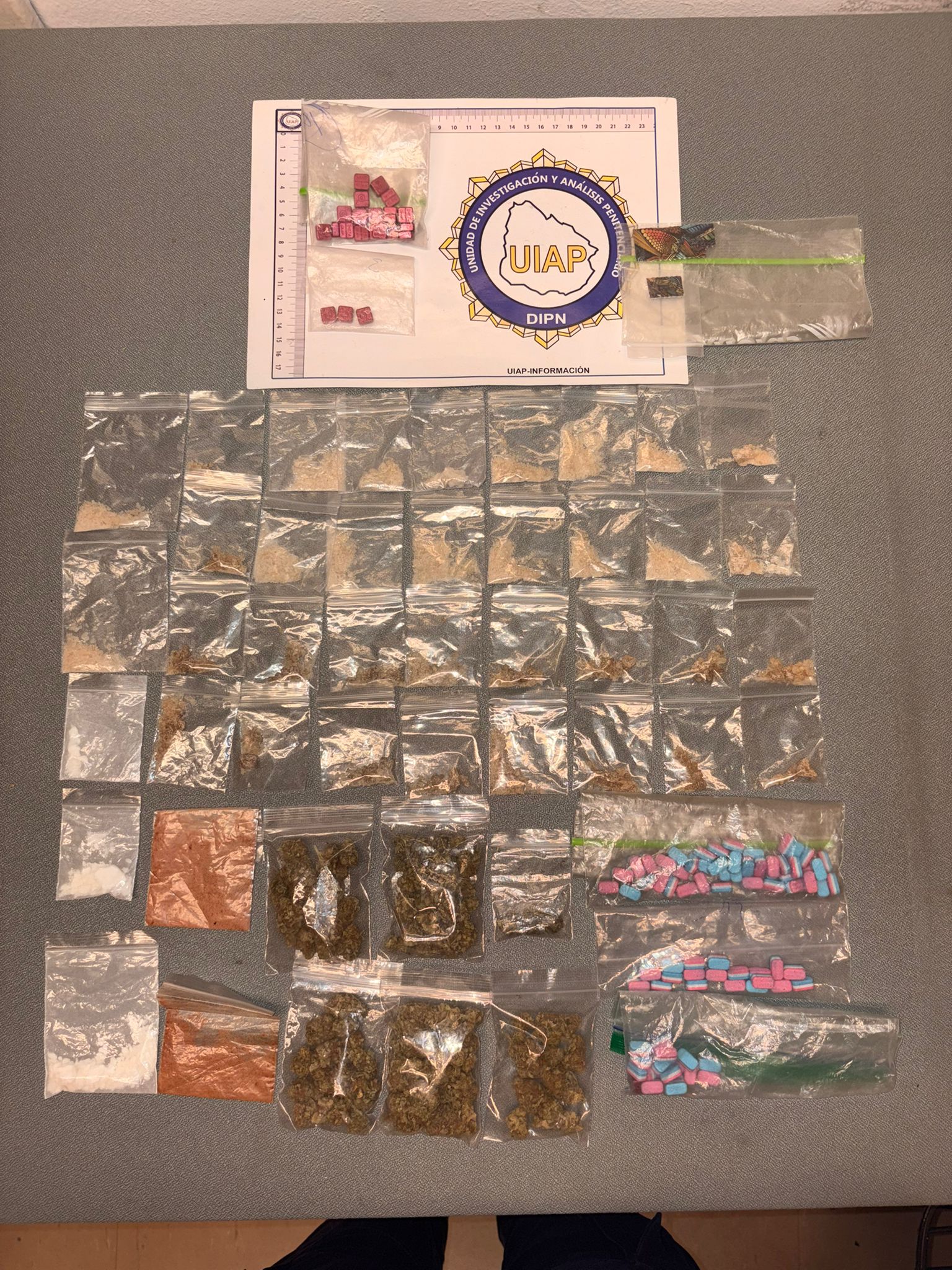 Desarticulan red de distribución de drogas en Maldonado tras operativo “Este”: siete detenidos y múltiples incautaciones