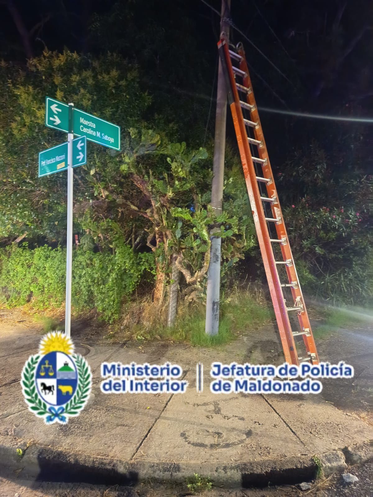 Condenado tras ser detenido mientras manipulaba cables de UTE en Maldonado