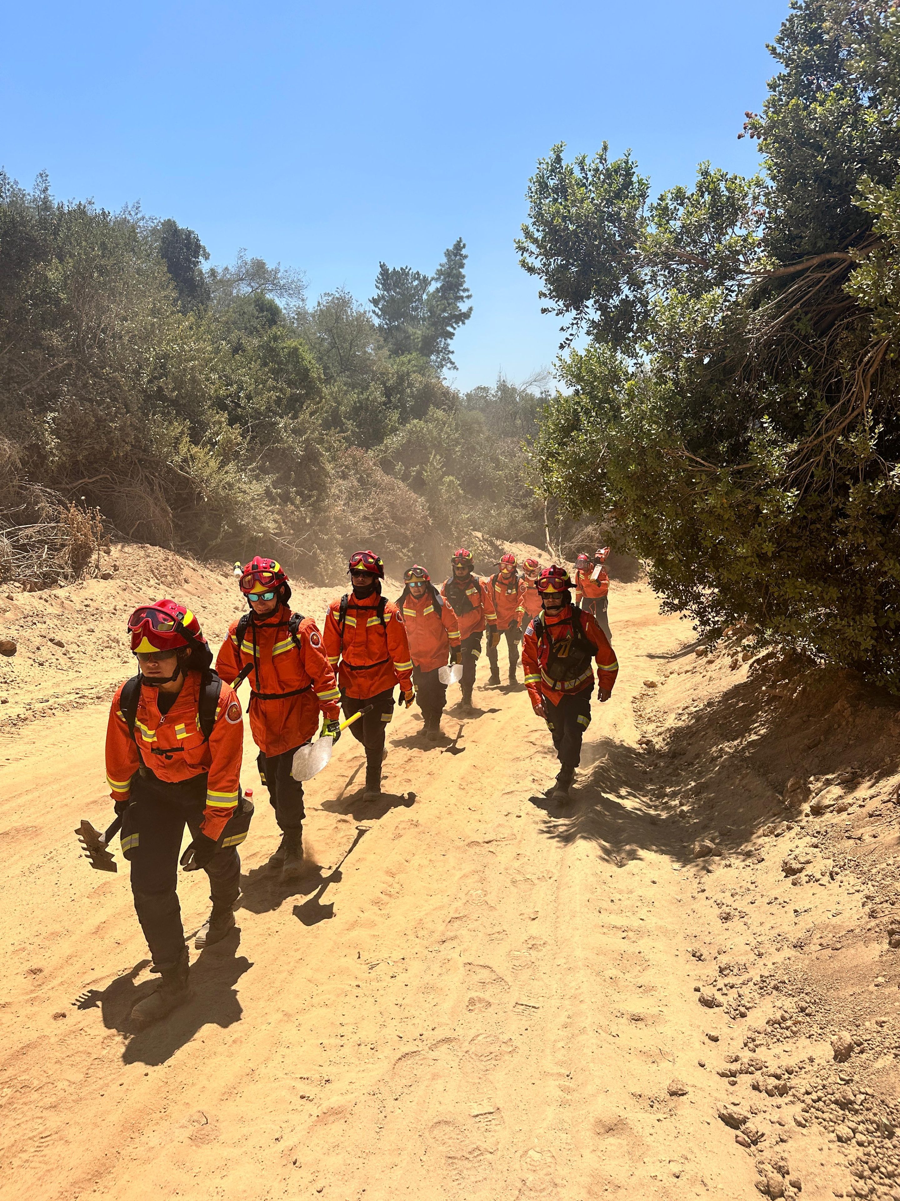 Orgullo: Bomberos uruguayos continúan tareas en Chile y se preparan para desplazarse a otra zona afectada