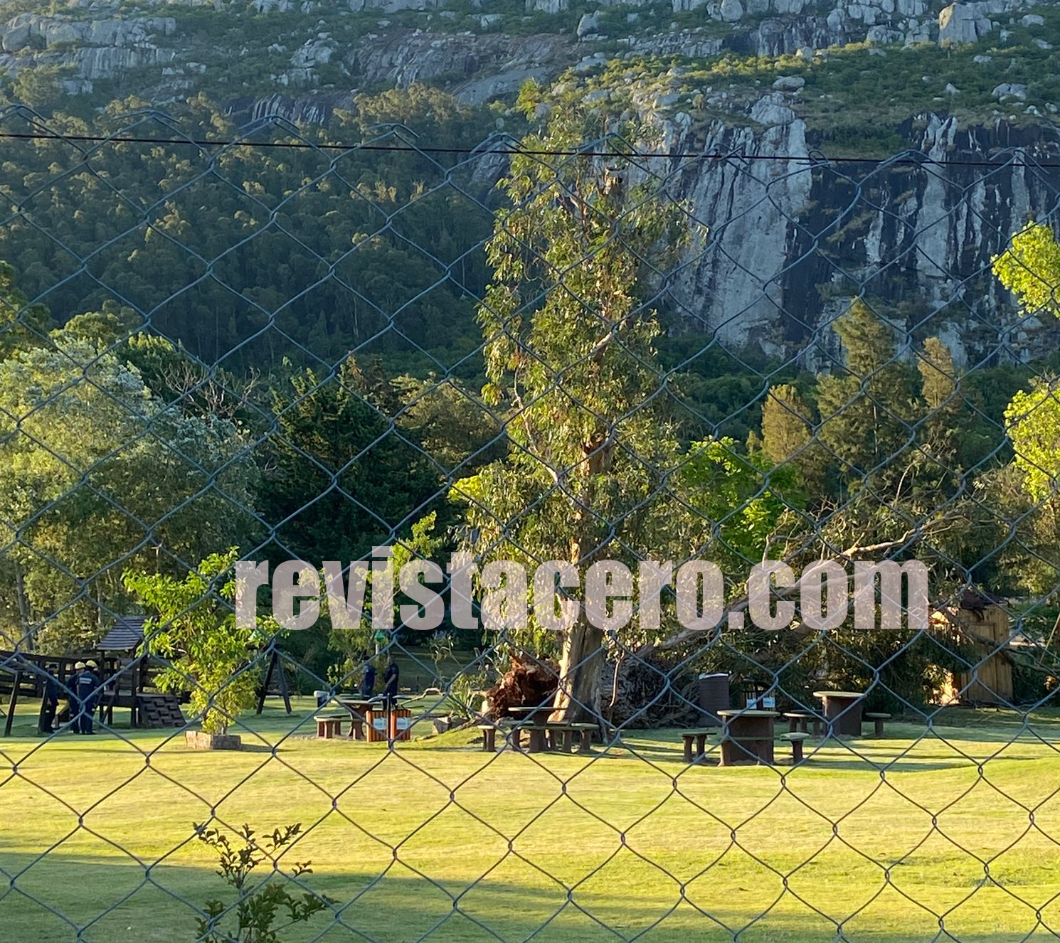 Accidente fatal en la ECFA: un árbol cayó sobre una mujer. Abella ordenó el cierre inmediato del parque e inició investigación