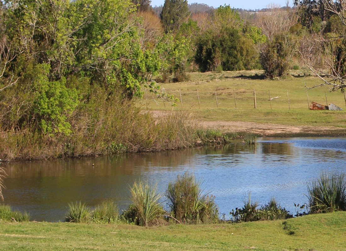 Guardavidas reanimaron a un hombre tras caer con su camioneta al arroyo San Carlos