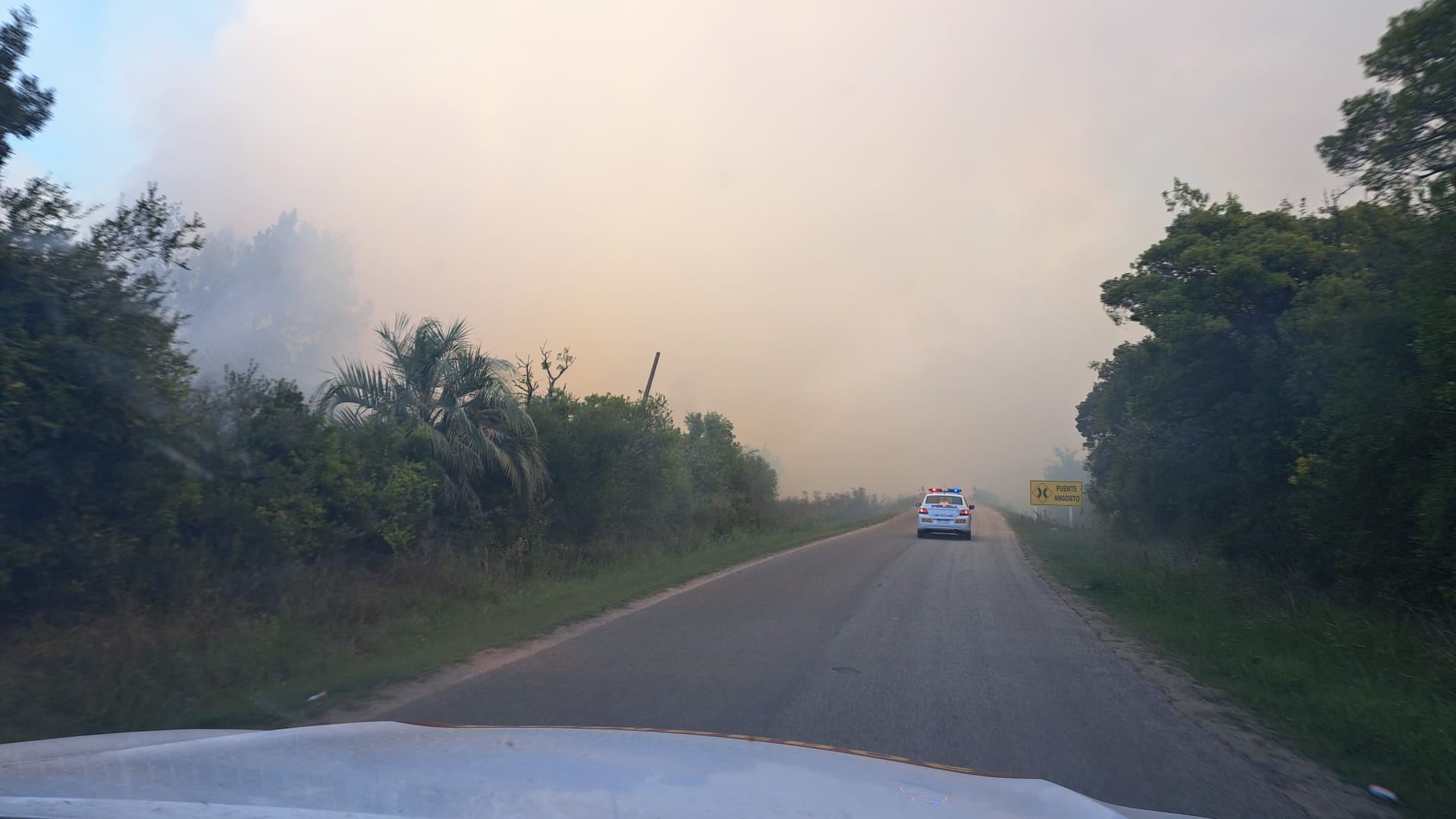 Incendio reactivado en la zona de Ruta 39 y Ruta 9