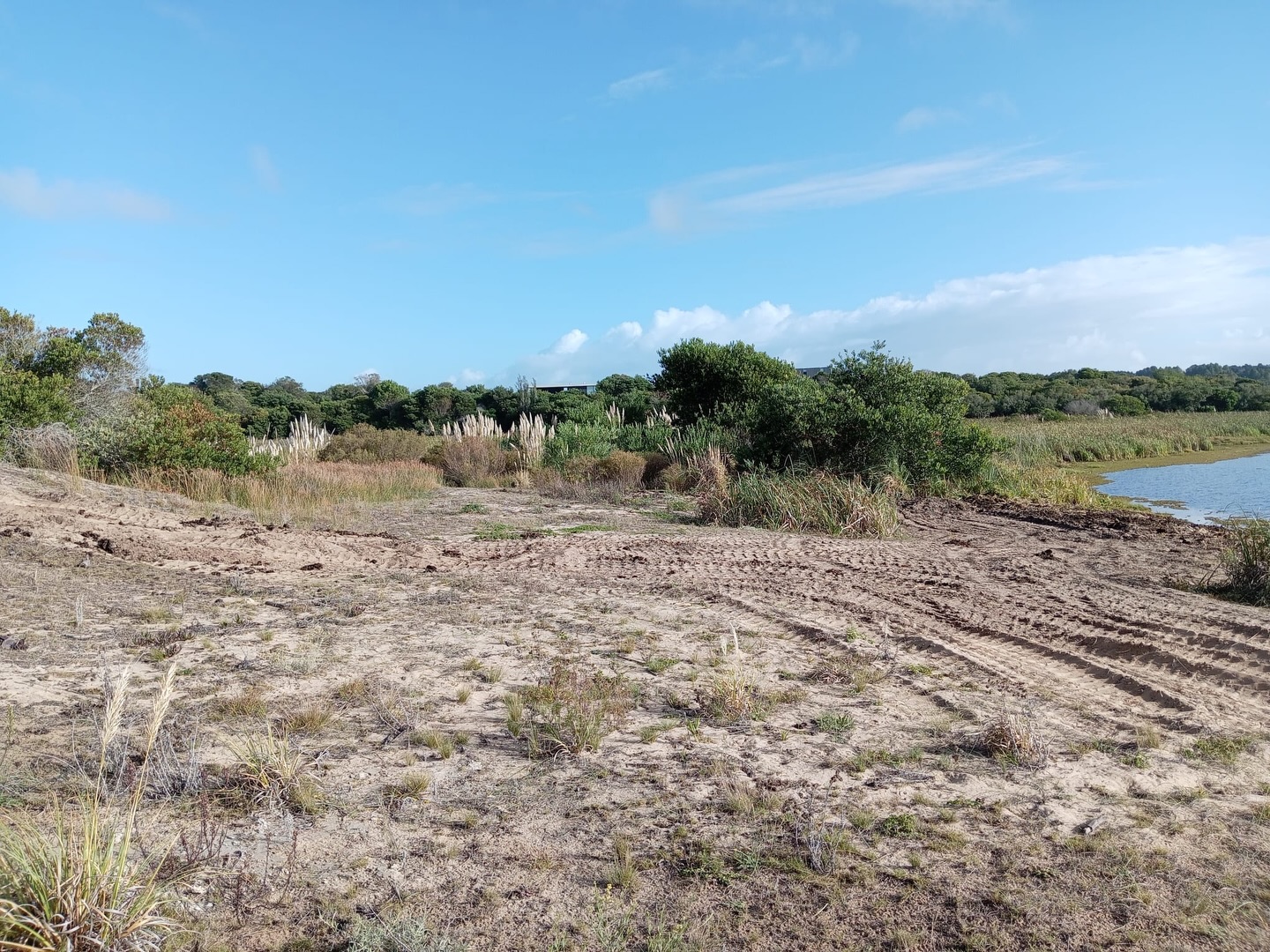 Realizan tareas de limpieza en Laguna Escondida