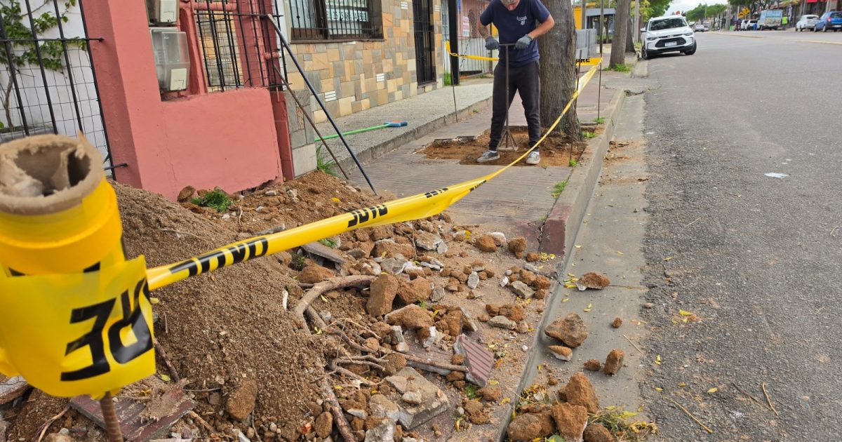 Municipio avanza en reparación de veredas en distintos puntos de Maldonado