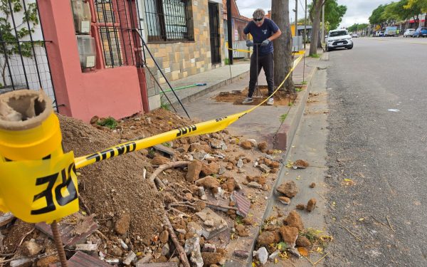 Municipio avanza en reparación de veredas en distintos puntos de Maldonado