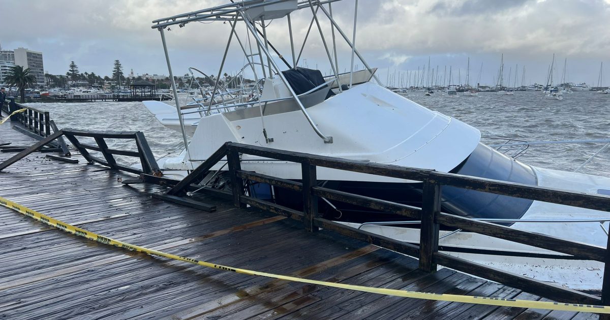 Temporal golpea la costa: daños en el puerto, caída de árboles y una cría de orca varada