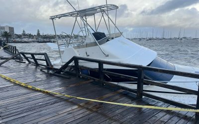 Temporal golpea la costa: daños en el puerto, caída de árboles y una cría de orca varada