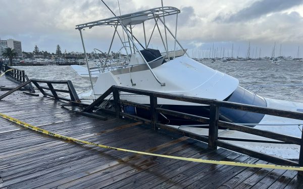 Temporal golpea la costa: daños en el puerto, caída de árboles y una cría de orca varada