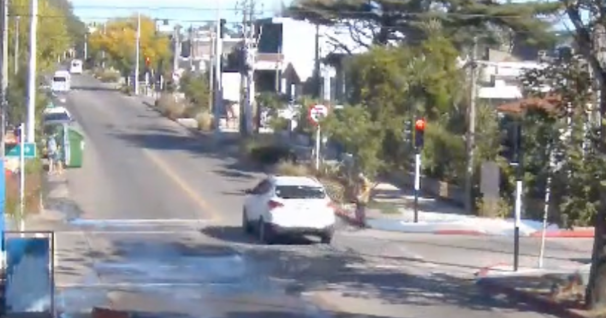 VIDEOS: Cruces en rojo bajo la lupa. La Intendencia refuerza campaña para prevenir accidentes