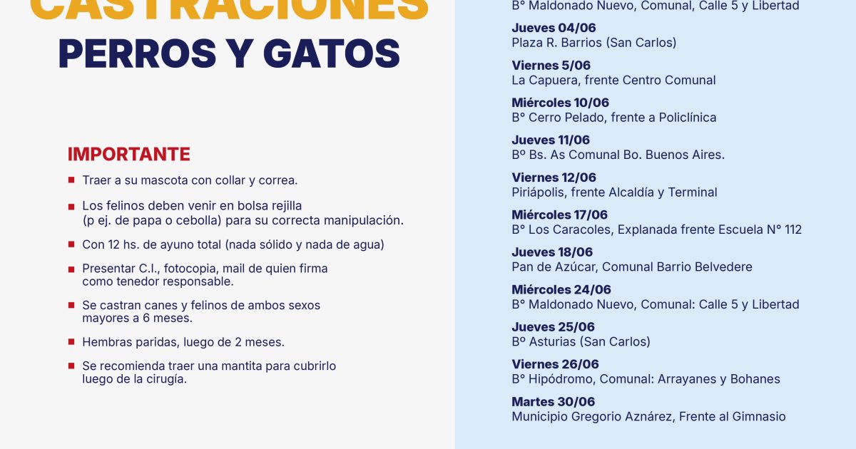 Maldonado retoma las castraciones gratuitas de perros y gatos en distintos barrios y localidades